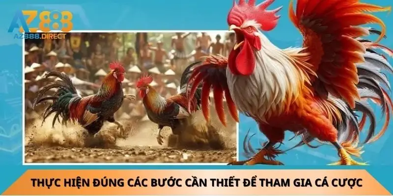 Thực hiện đúng các bước cần thiết để tham gia cá cược đá gà